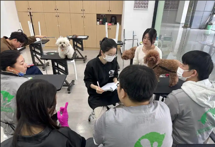 贺州市宠物美容师宠物美容培训学校 - 厂家
